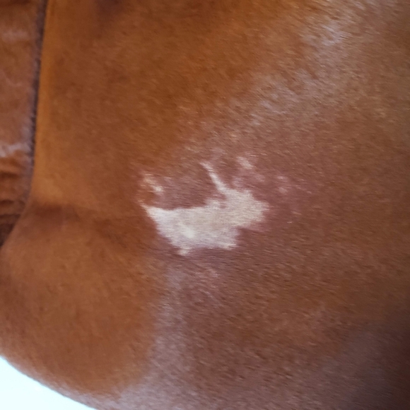 Derek Lam 10 Crosby Rust Orange Leather Calf Hair Tote Shoulder Bag Designer - Picture 7 of 12